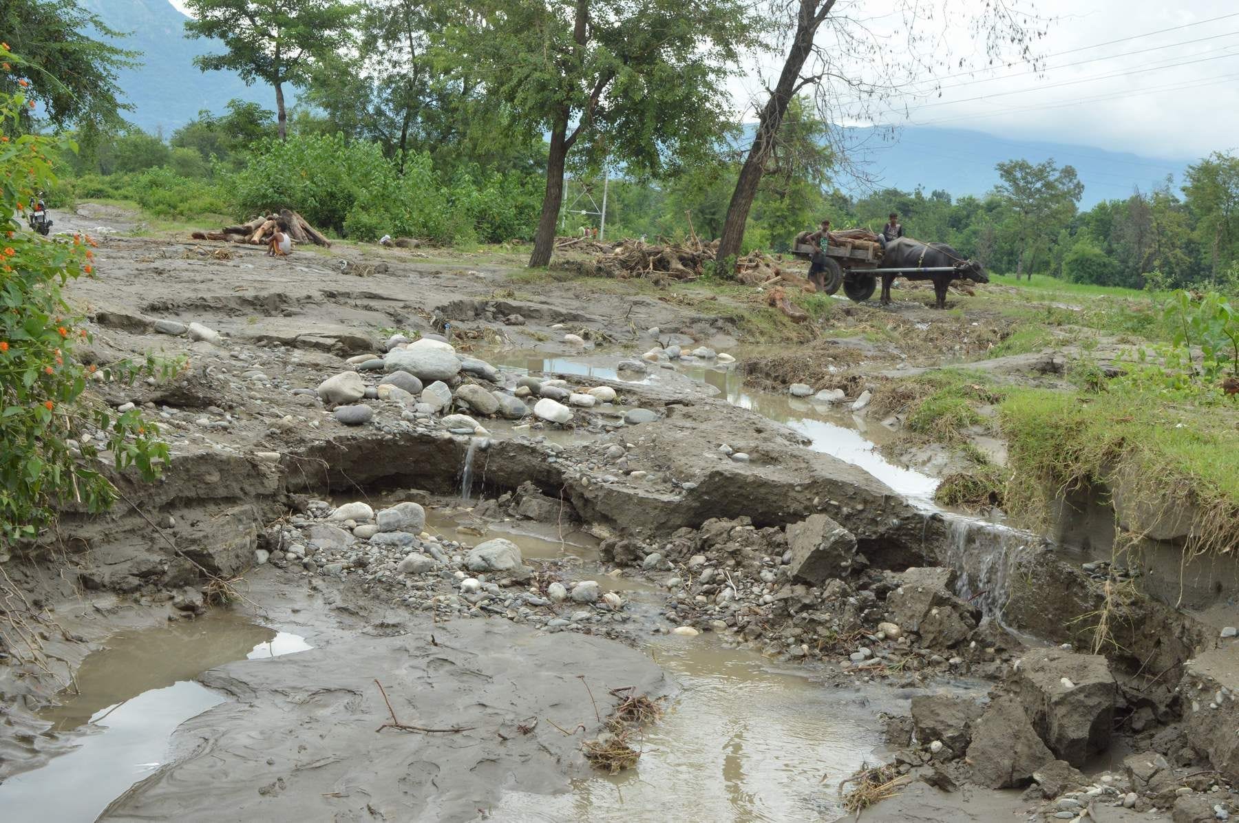 यमुना नदी के उफान पर आने से अंबाड़ी क्षेत्र में खेतों में हुआ कटाव।