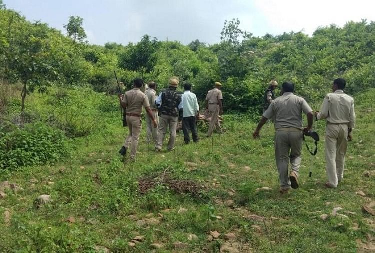 Kotdwar: Tiger attacked on forest guard during patrolling killed