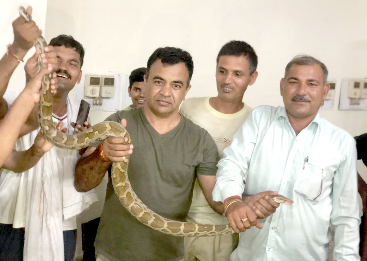 गुरुग्राम से वन्य जीव संरक्षक अनिल गंडास द्वारा रेस्क्यू किया अजगर और सांप - अमर उजाला गुरुग्राम से वन्य जीव संरक्षक अनिल गंडास द्वारा रेस्क्यू किया अजगर और सांप - अमर उजाला