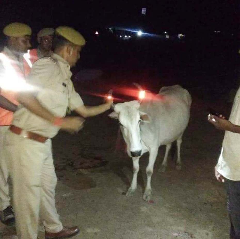 कचहरी के बगल बावारा पशु की सींग में रेडियम स्टीकर लगाते सिपाही।