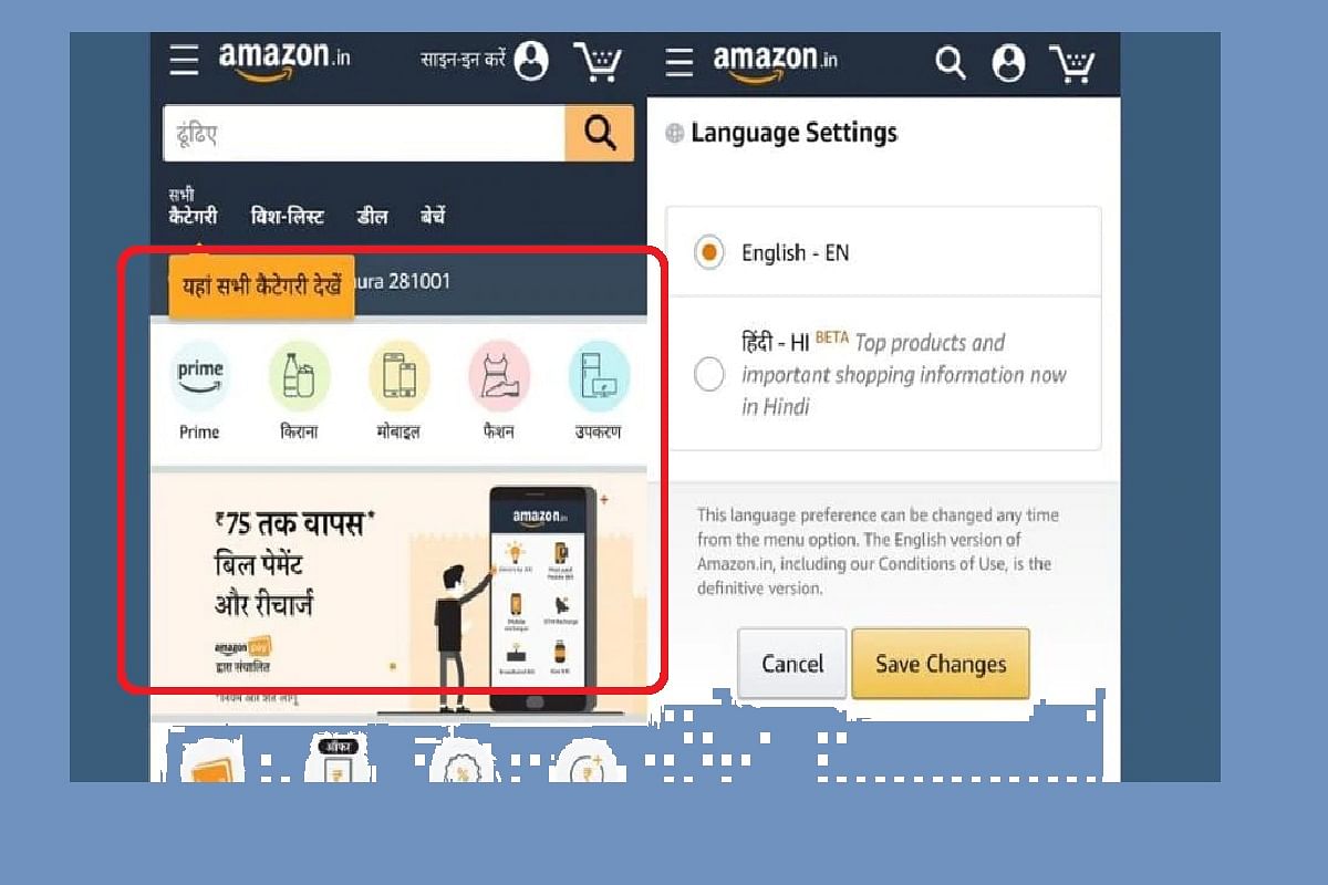इंटरनेट पर हिन्दी का बोलबाला