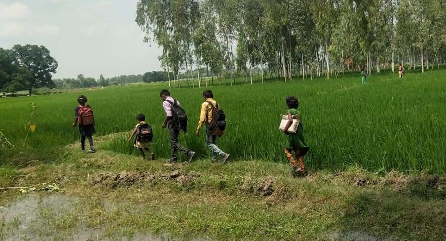 कुंडा के रहवई स्थित प्राथमिक विद्यालय पनाहनगर से खेतों की मेड़ से होकर जाते बच्चे। 
