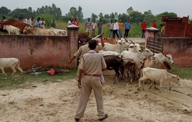 उदयपुुर के राहाटीकर प्राथमिक स्वास्थ्य केन्द्र में ग्रामीणों द्वारा बंद किये गये आवारा पशुओं क? उदयपुुर के राहाटीकर प्राथमिक स्वास्थ्य केन्द्र में ग्रामीणों द्वारा बंद किये गये आवारा पशुओं क?
