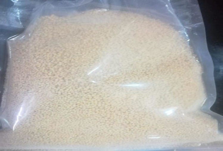फॉक्सटेल मिल्लेट (काउणी)