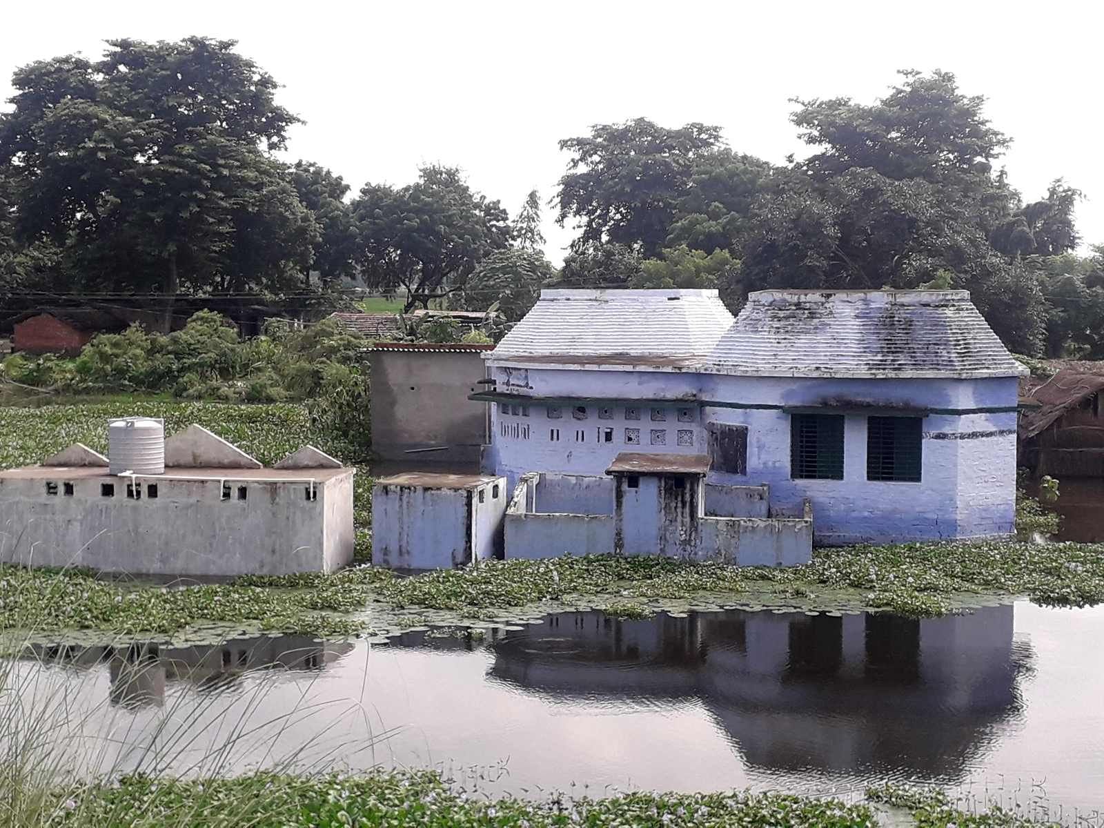 हरैया विकास खंड के परसिया का प्राइमरी स्कूल पानी में डूबा। हरैया विकास खंड के परसिया का प्राइमरी स्कूल पानी में डूबा।