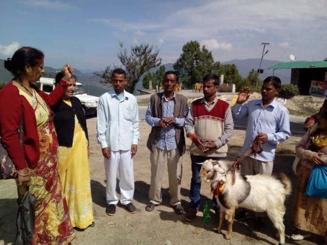 तिई मंदिर में बलि के लिए लाए गए बकरे को लौटाते गायत्री परिजन।