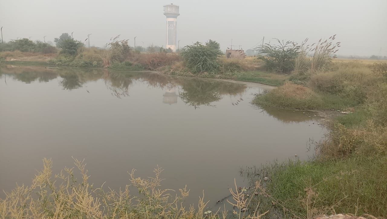 नांगल कलां गांव के पास डाला गया गंदा पानी