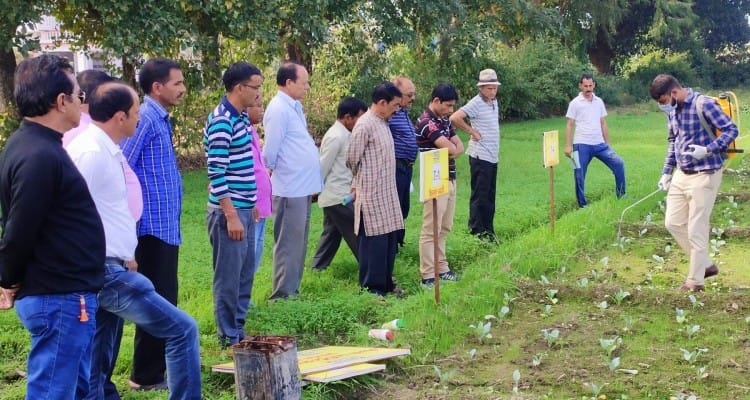 भाबर के देवरामपुर में काश्तकारों को जैव उवर्रकों की जानकारी देते इफको के अधिकारी।