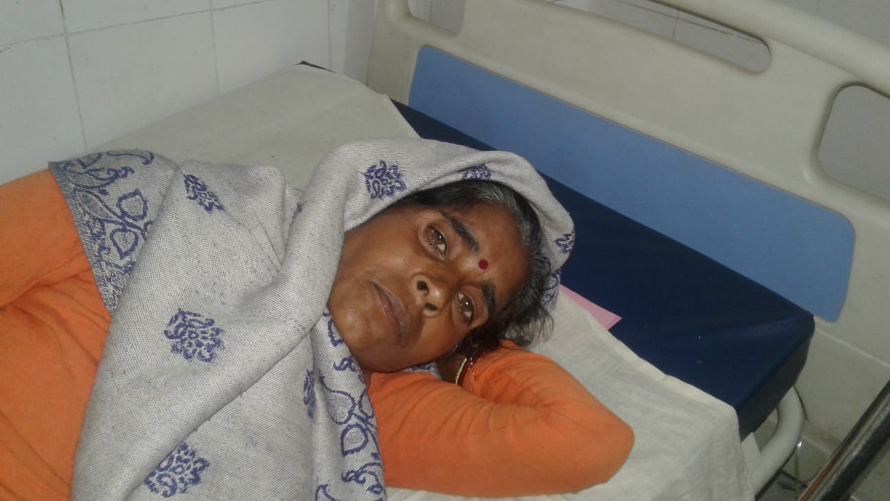 बीमार कस्तूरी। बीमार कस्तूरी।