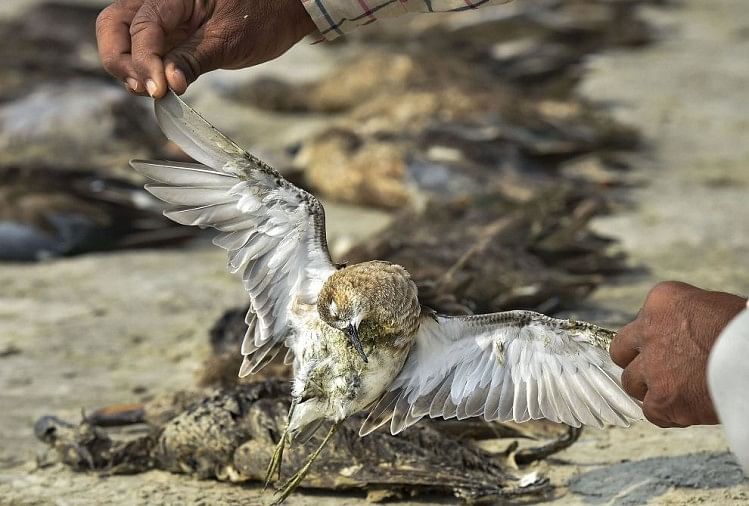 मौत के पीछे ढूंढे जा रहे कारण