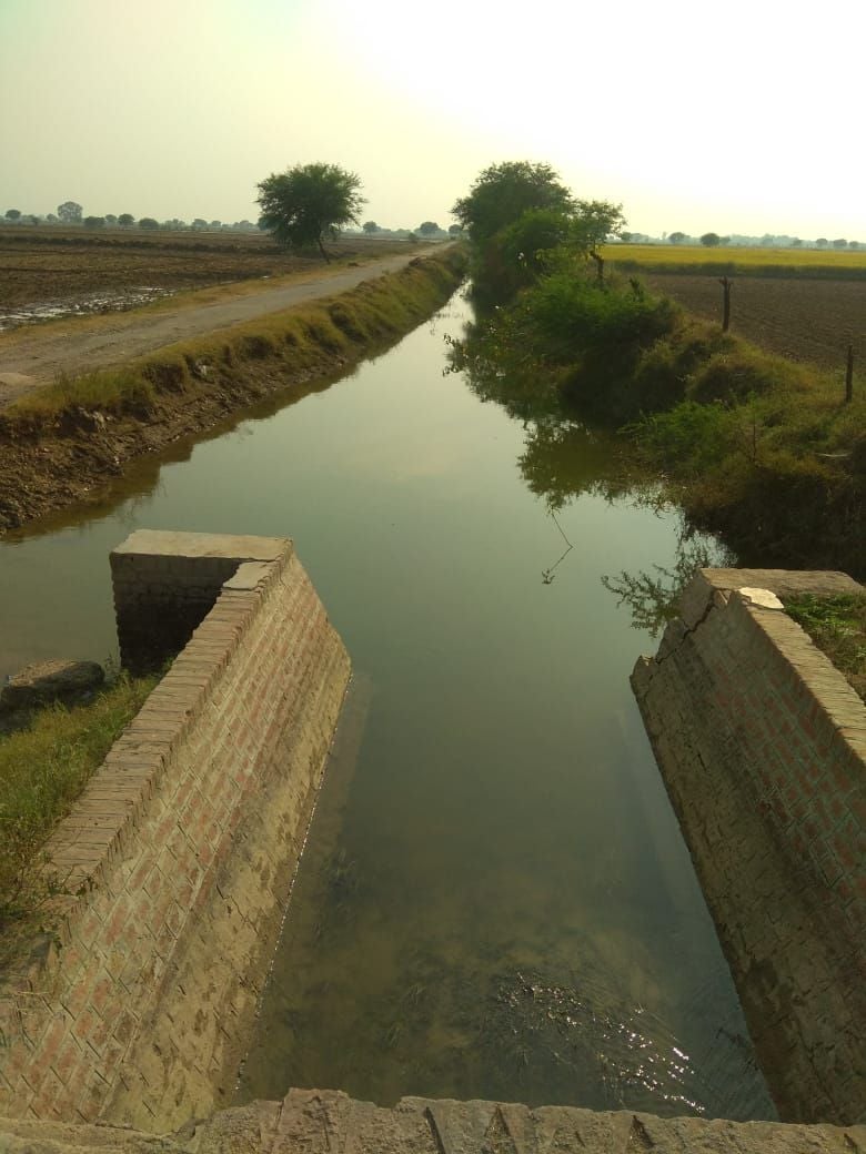 जालौन स्थित जगनेवा के रजबहा में रुका हुआ पानी। जालौन स्थित जगनेवा के रजबहा में रुका हुआ पानी।
