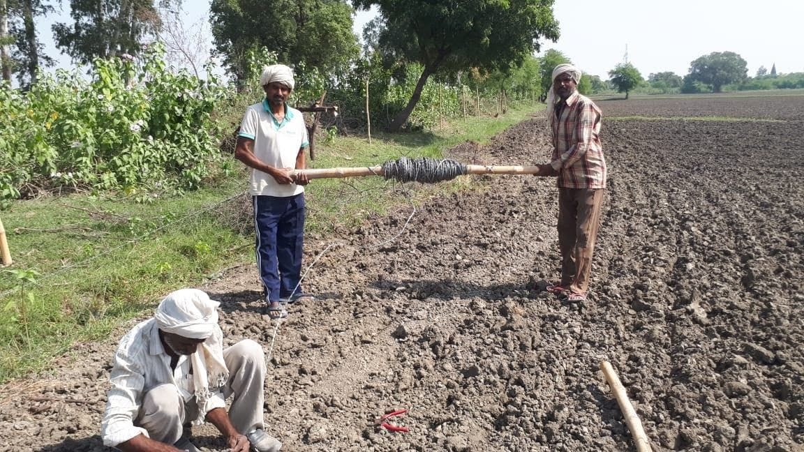 सोमई में खेतों पर तार लगाते किसान सोमई में खेतों पर तार लगाते किसान
