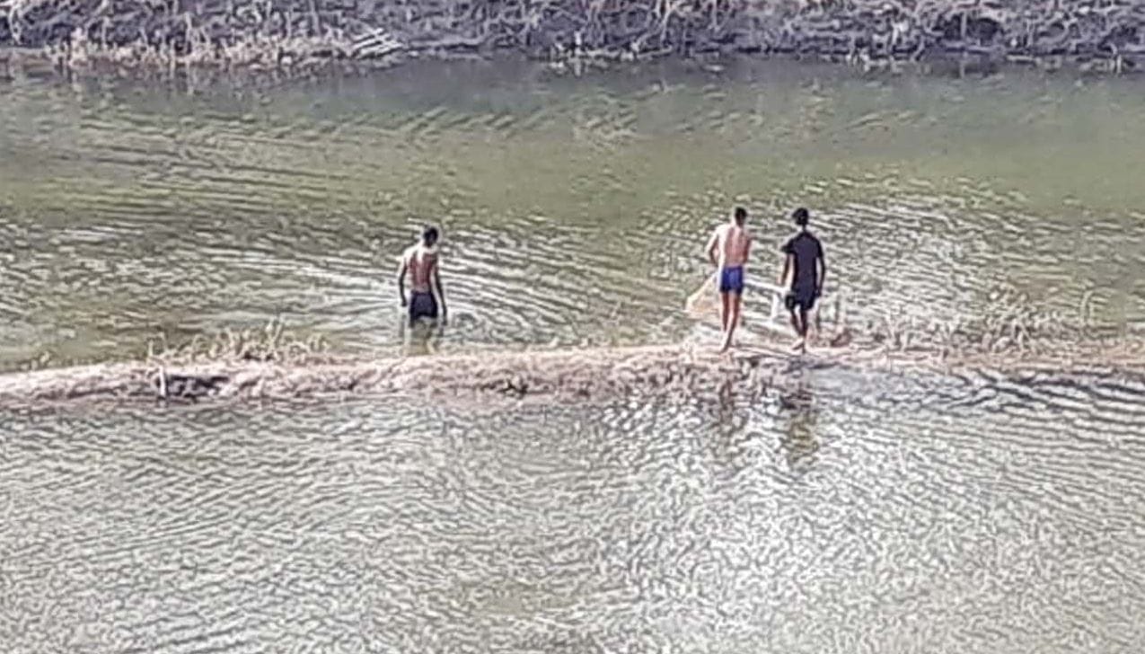  गंग नहर में बेहोश हुई मछलियों को पकड़ते लोग। 