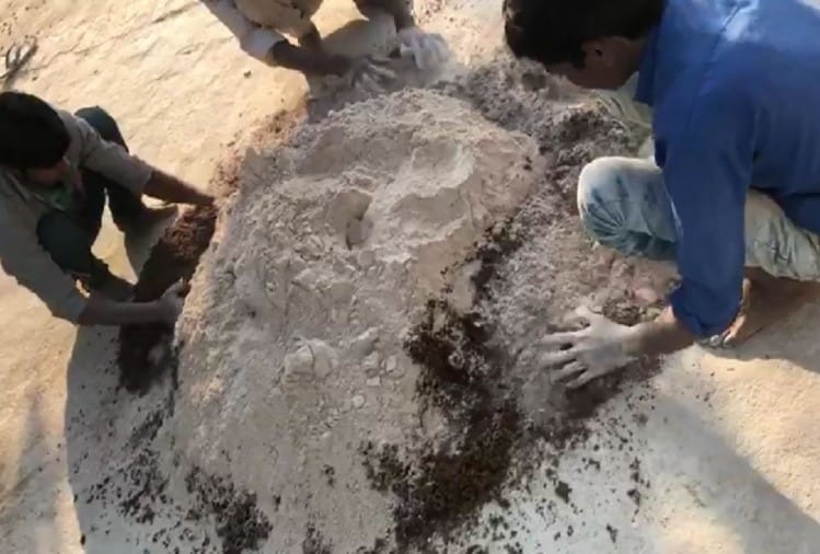 नकली जीरा बनाते लोग