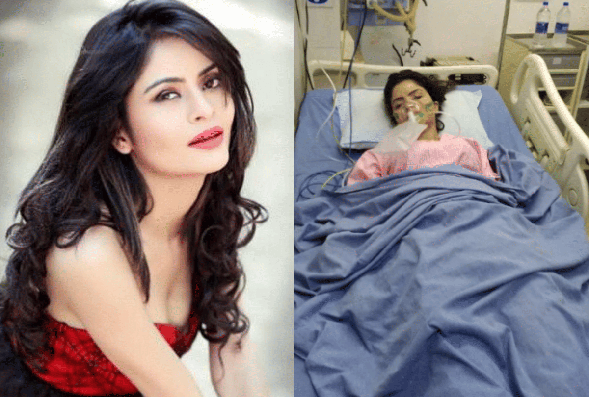 Gehana Vasisth: जानिए कौन हैं अभिनेत्री गहना वशिष्ठ, एडल्ट वीडियो के मामले में क्राइम ब्रांच ने किया गिरफ्तार - Entertainment News: Amar Ujala