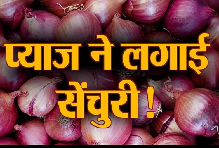 Watch Business News Including Onion Price At Rupees 100 - प्याज निकालेगा  आंसू, दाम फिर 100 रुपये प्रति किलो, देखें कारोबार की बड़ी खबरें- Amar Ujala  Hindi News Live