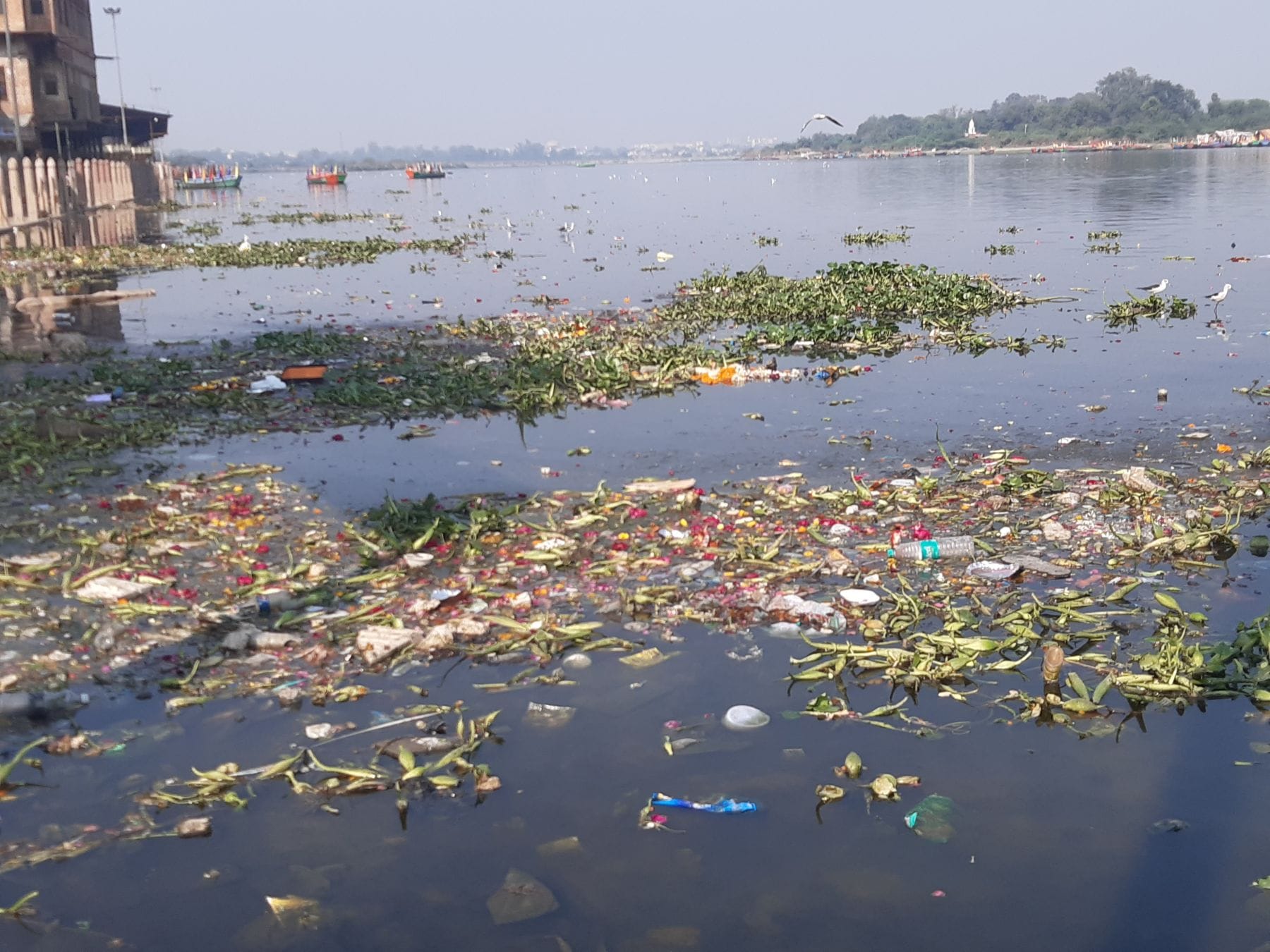 फोटो 4 राम घाट पर यमुना में फैली गंदगी। फोटो 4 राम घाट पर यमुना में फैली गंदगी।