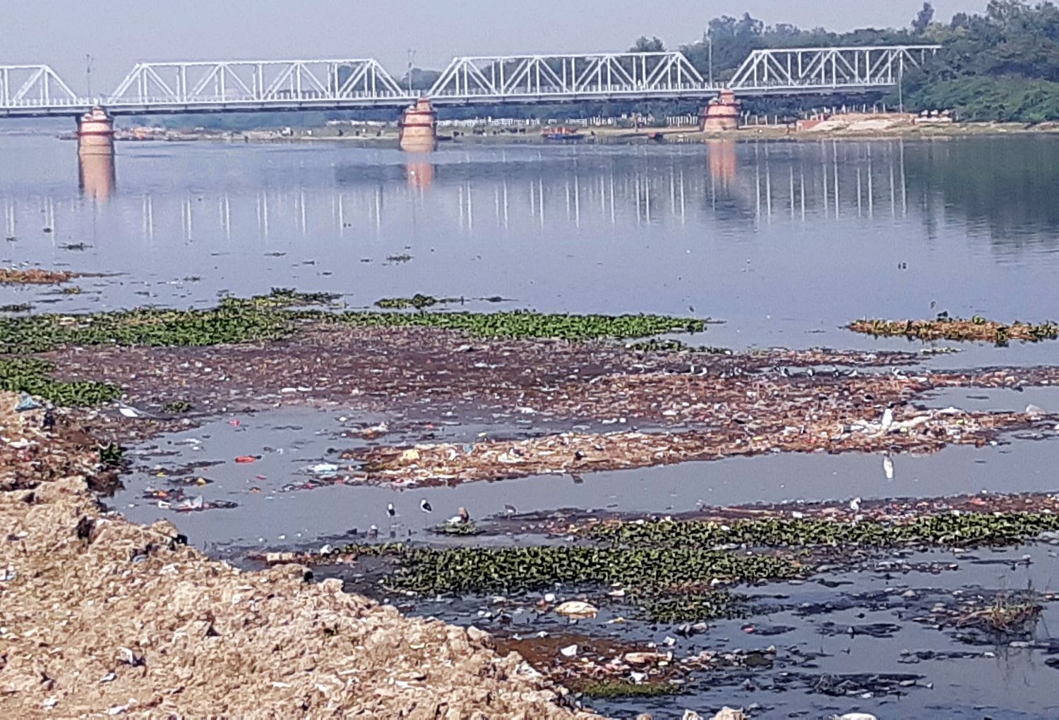 फोटो 5 ध्रुव घाट के समीप यमुना में फैली गंदगी। फोटो 5 ध्रुव घाट के समीप यमुना में फैली गंदगी।