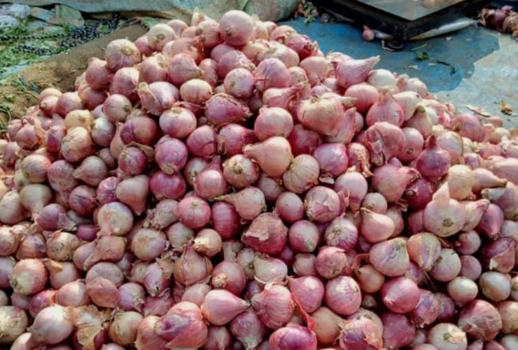 Onion reached in ration depots himachal, expensive then market price