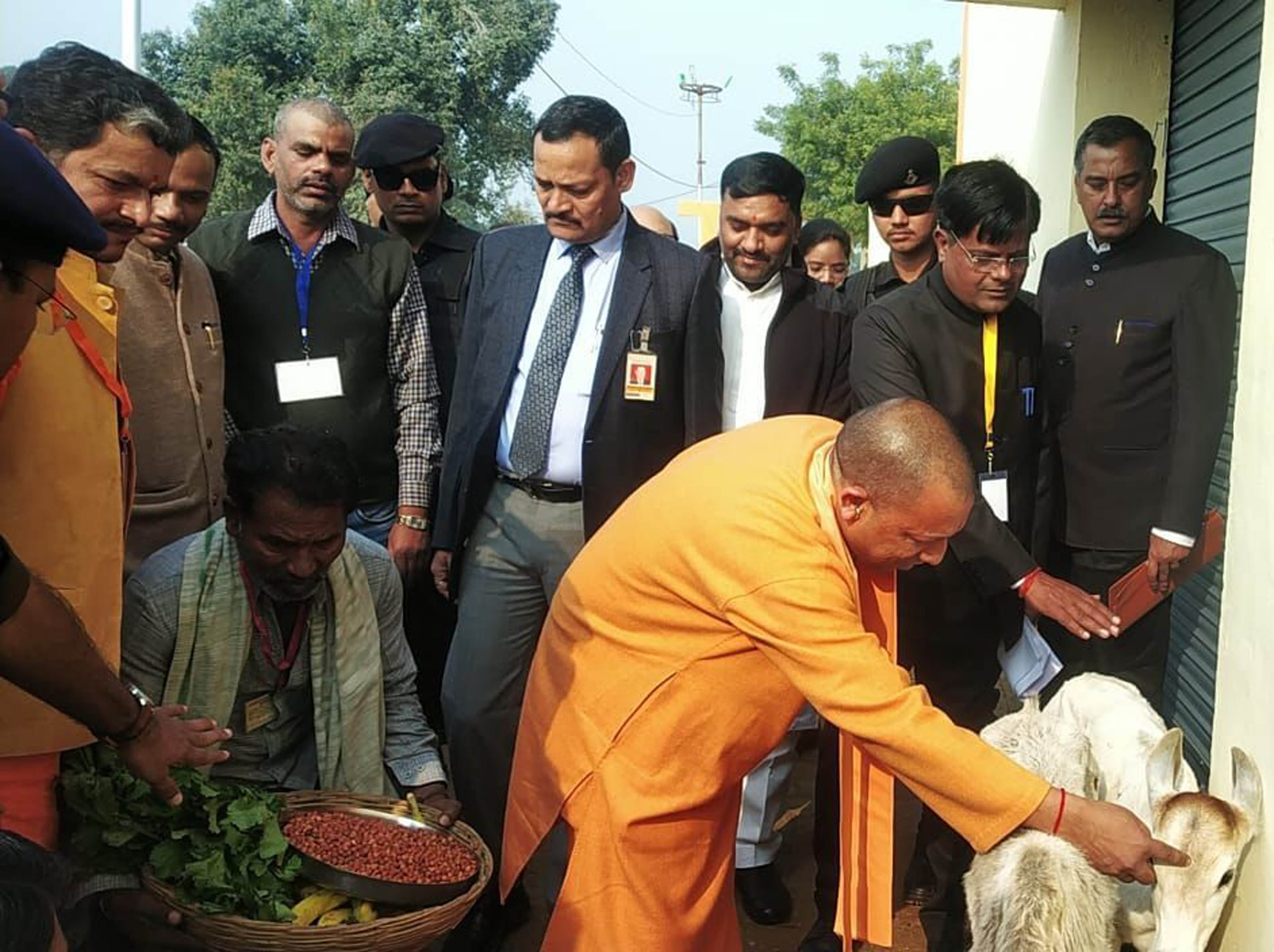बांदा के तिंदवारी स्थित कान्हा पशु आश्रय केंद्र में बछड़े को दुलारते सीएम योगी आदित्यनाथ।