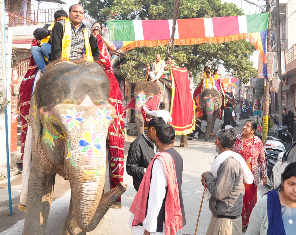 मदनपुरी स्थित जैन मन्दिर से निकली शोभा यात्रा में हाथी पर सवार जैन समाज के लोग मदनपुरी स्थित जैन मन्दिर से निकली शोभा यात्रा में हाथी पर सवार जैन समाज के लोग