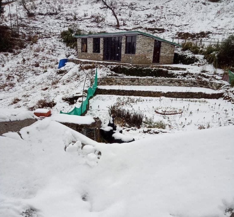 मुनस्यारी के बेंटुलीधार में गिरी बर्फ।