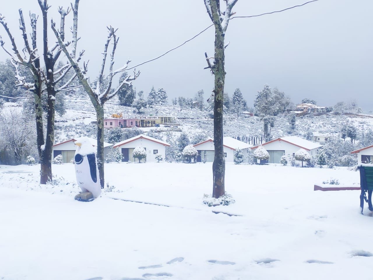 चौकोड़ी में पटी बर्फ। अमर उजाला