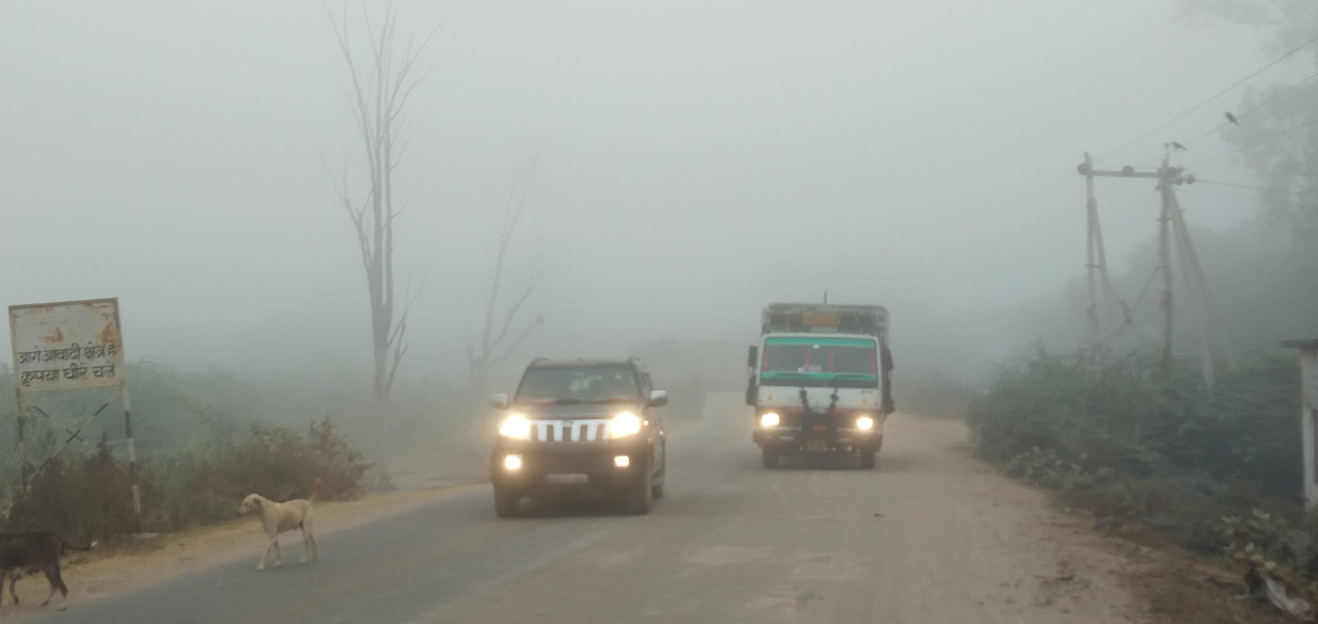 कोहरे में लाइट जलाकर चलते वाहन कोहरे में लाइट जलाकर चलते वाहन