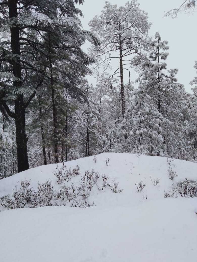  उत्तराखंड के खेतीखान क्षेत्र में हुई भारी बर्फबारी का नजारा।