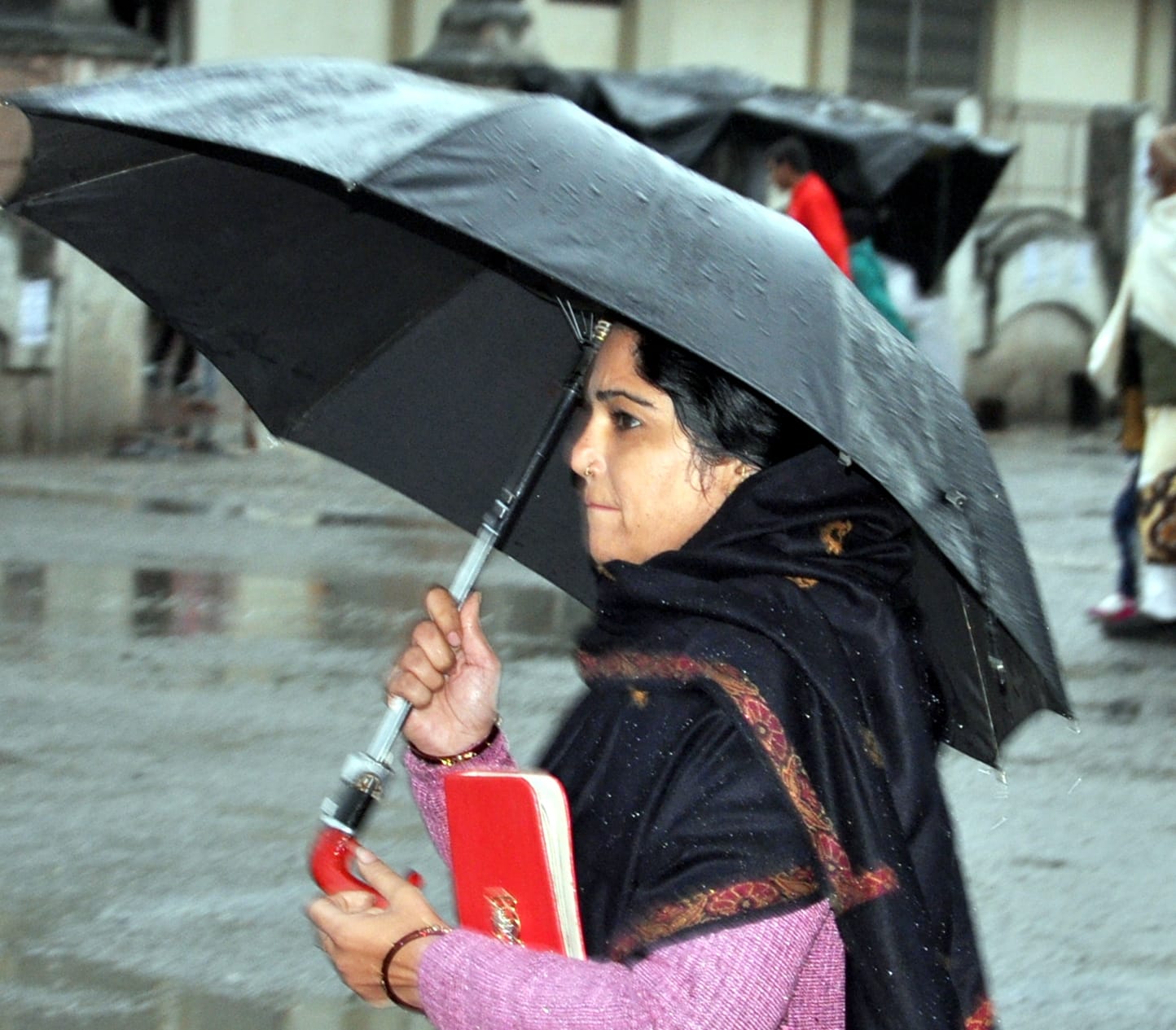 शामली में बरसात से बचने के लिये छाता लगाकर जाती महिला शामली में बरसात से बचने के लिये छाता लगाकर जाती महिला
