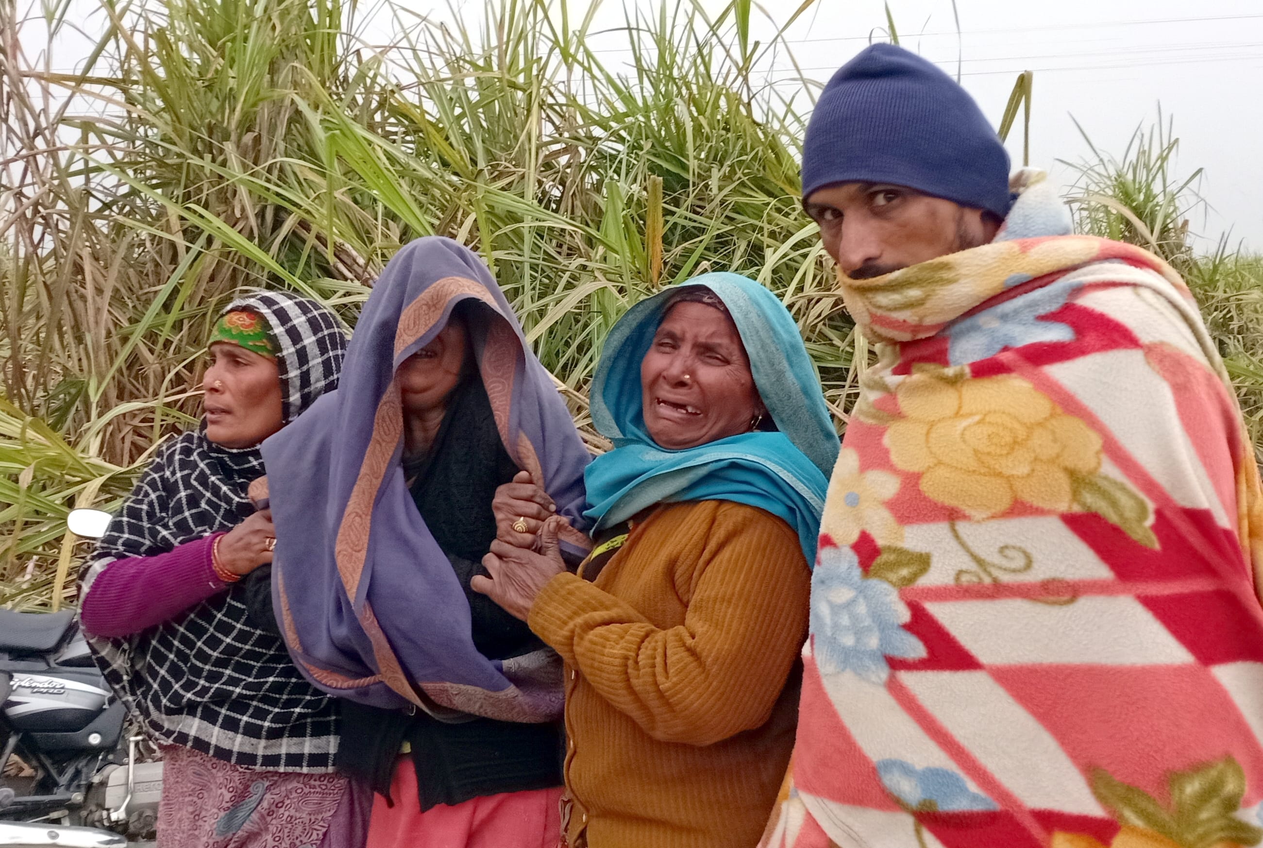बिजनौर: गुलदार हमला: मंडावर क्षेत्र के ग्राम बिचपड़ी के जंगल में शफीक की मौत पर विलाप करते परिजन? बिजनौर: गुलदार हमला: मंडावर क्षेत्र के ग्राम बिचपड़ी के जंगल में शफीक की मौत पर विलाप करते परिजन?
