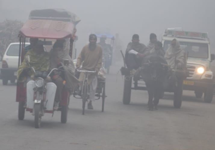 शामली कोहरे में गुजरते लोग शामली कोहरे में गुजरते लोग