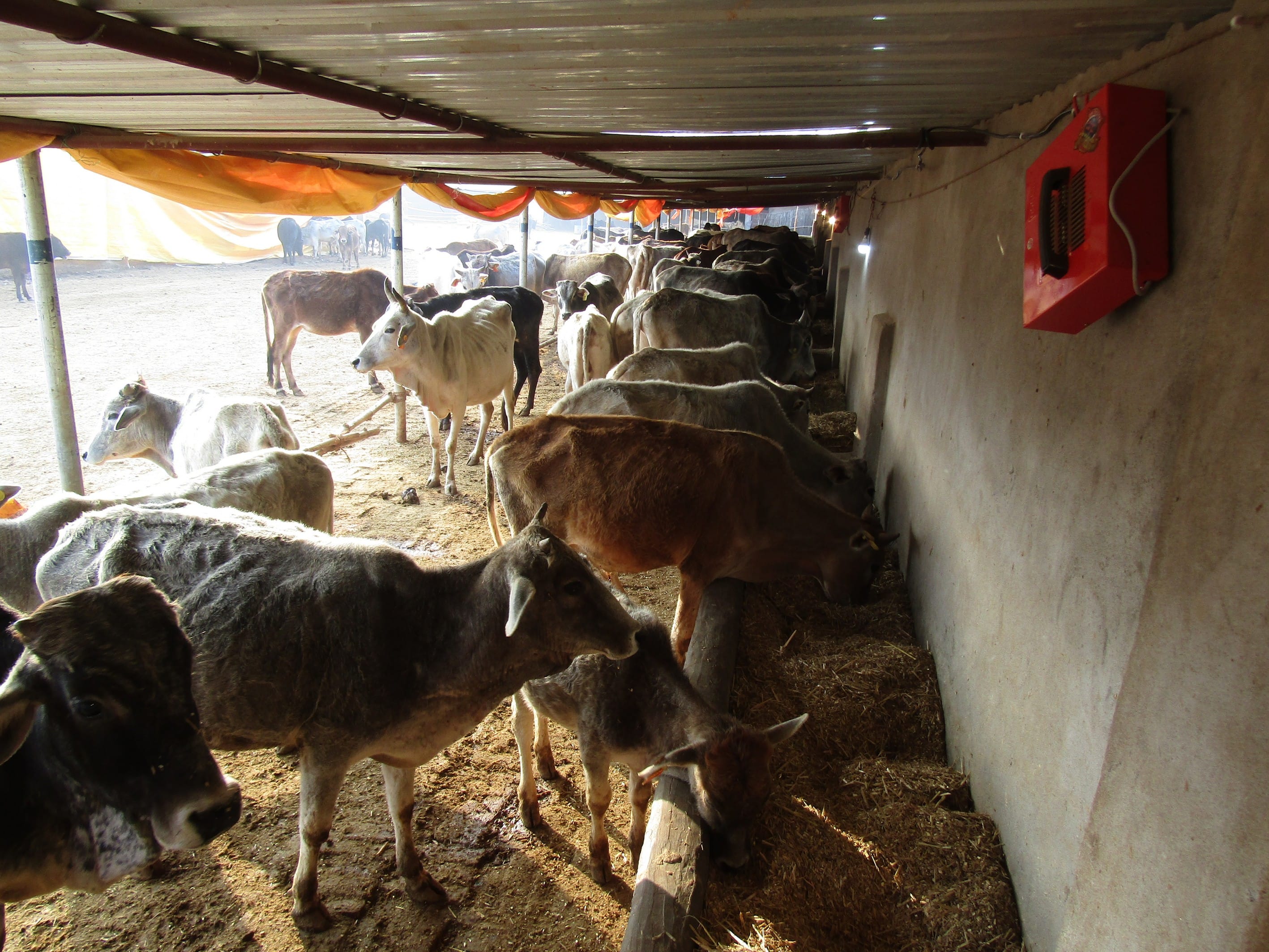 राबर्ट्सगंज स्थित गो आश्रय स्थल में लगा ब्लोवर। राबर्ट्सगंज स्थित गो आश्रय स्थल में लगा ब्लोवर।