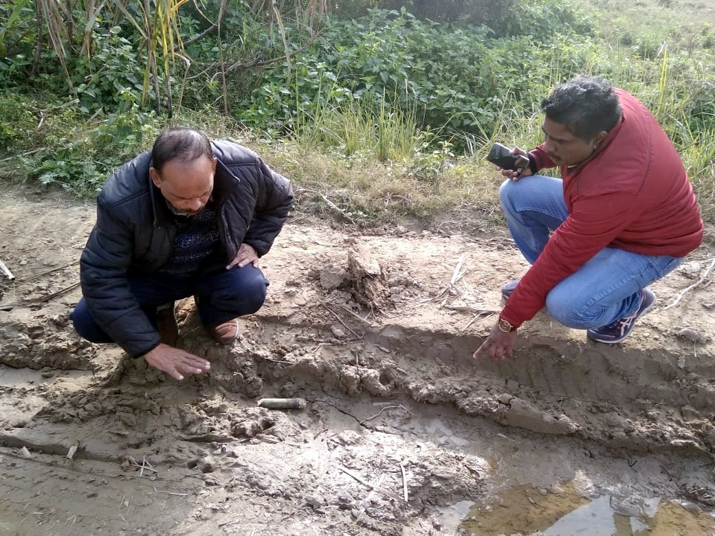 मंडावर के ग्राम मोहंडिया में गुलदार का पंजे का निशान देखते डीएफओ। मंडावर के ग्राम मोहंडिया में गुलदार का पंजे का निशान देखते डीएफओ।