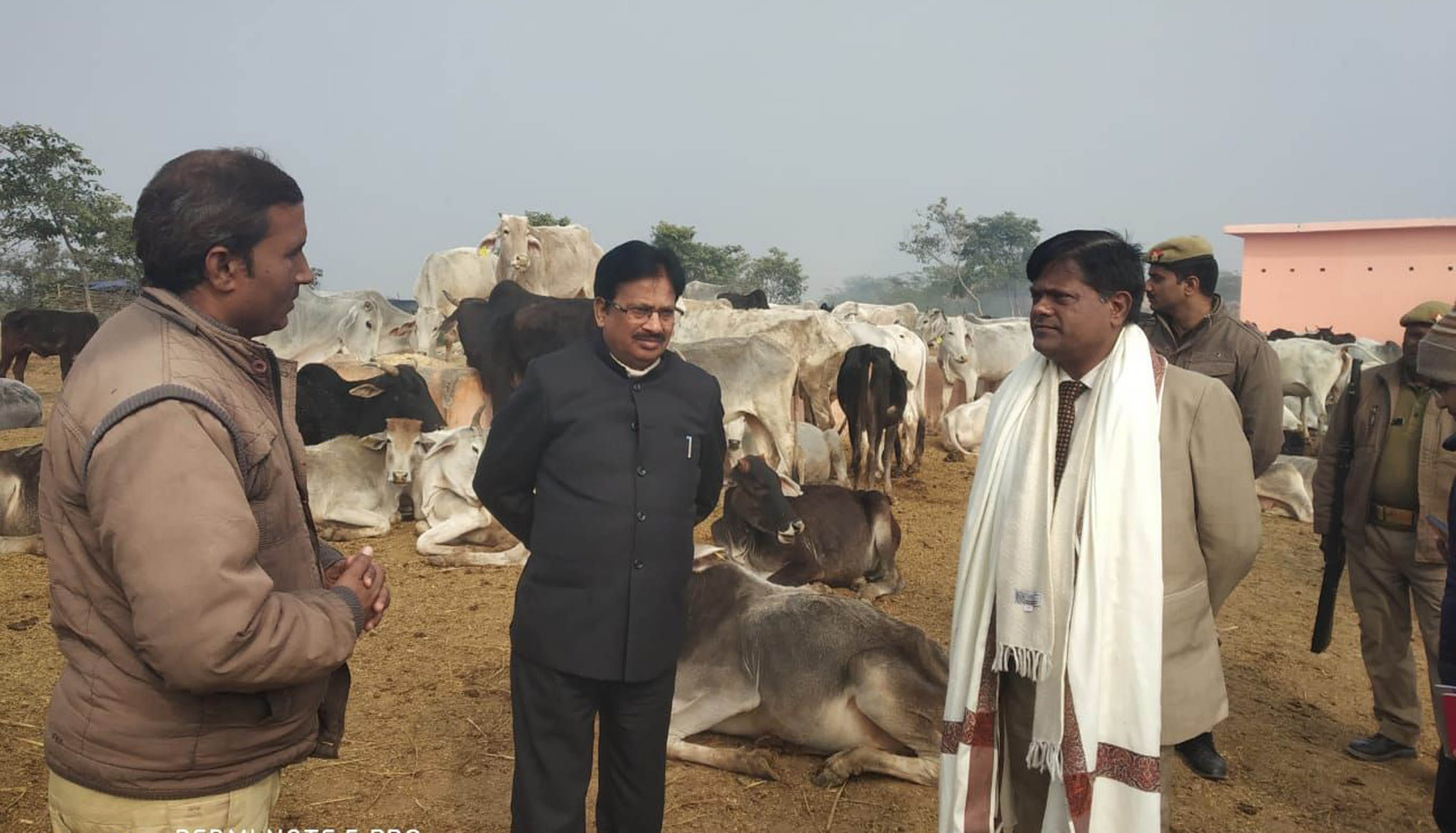 खप्टिहा कलां गोशाला का निरीक्षण करते डीएम हीरा लाल।
