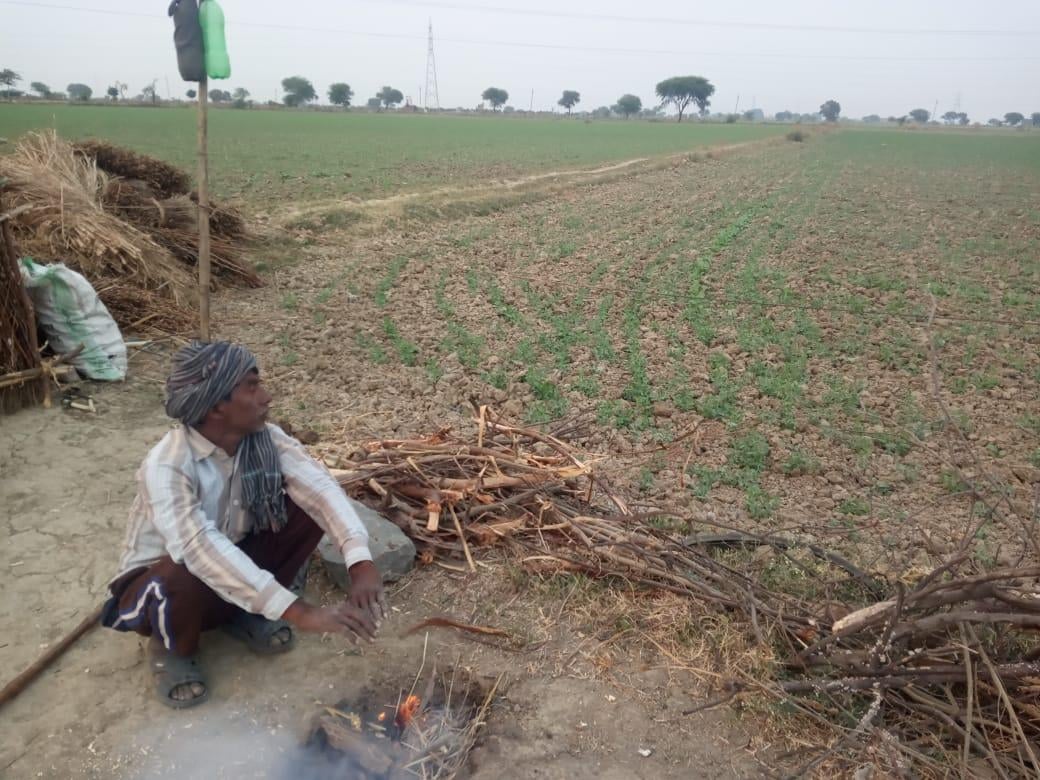 आटा में खेतों पर पहरा देते किसान प्रभु