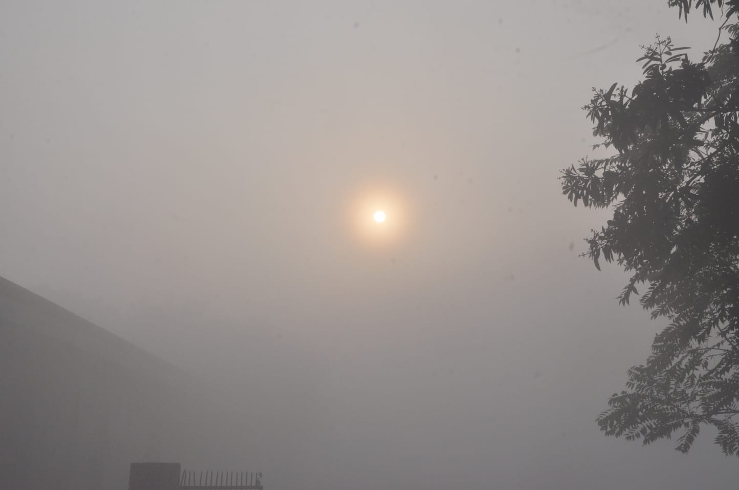 शामली में रविवार सुबह छाई घटा। शामली में रविवार सुबह छाई घटा।