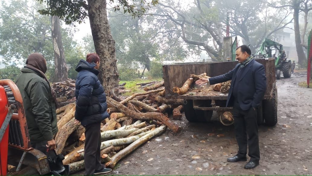 खटीमा के पीलीभीत रोड स्थित वन निगम के डिपो में लकड़ी की जांच करते तहसीलदार युसूफ अली।