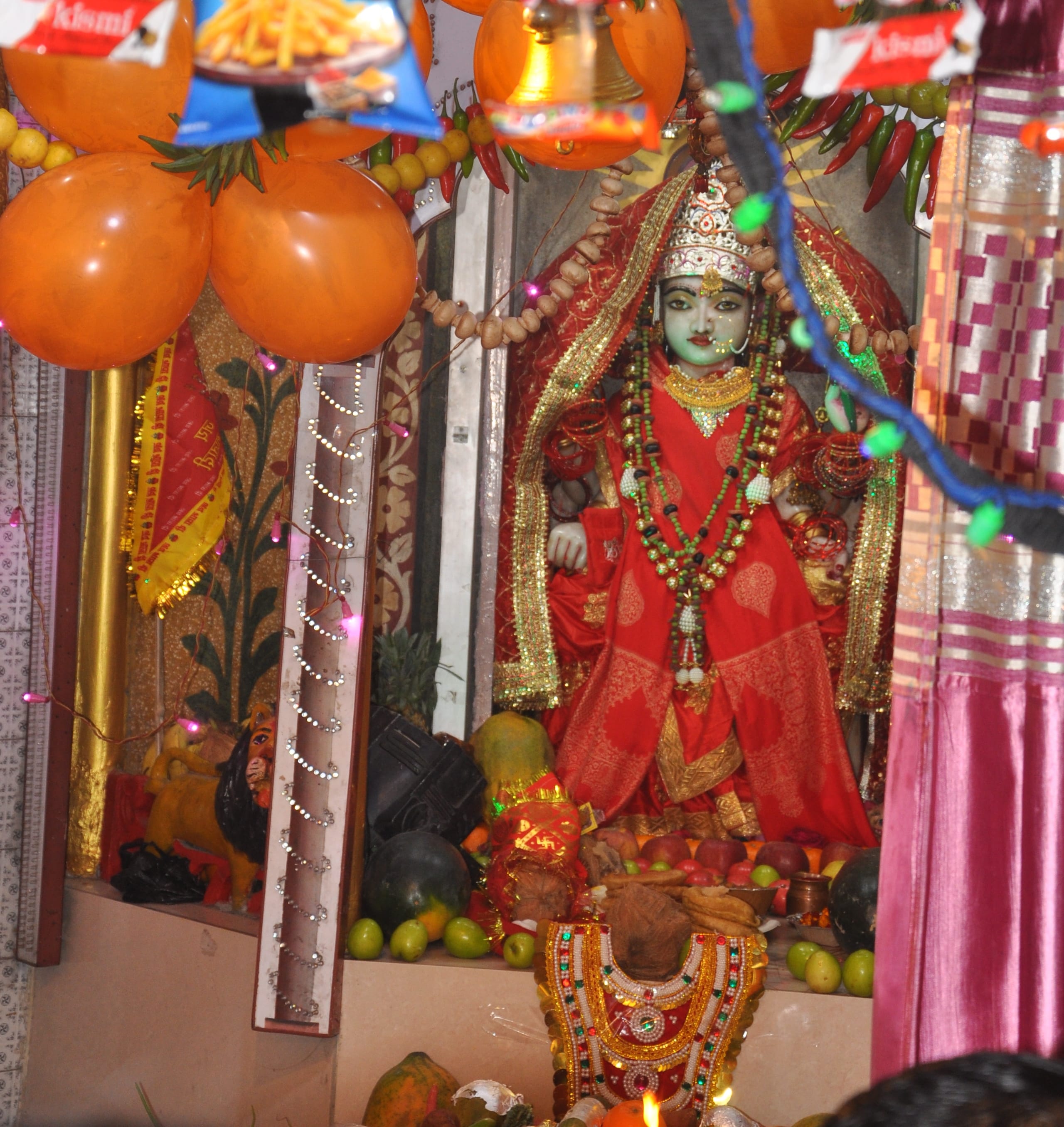 शामली  में मां शाकुंभरी देवी के जन्म दिवस पर दुर्गा मन्दिर में सजा दरबार
