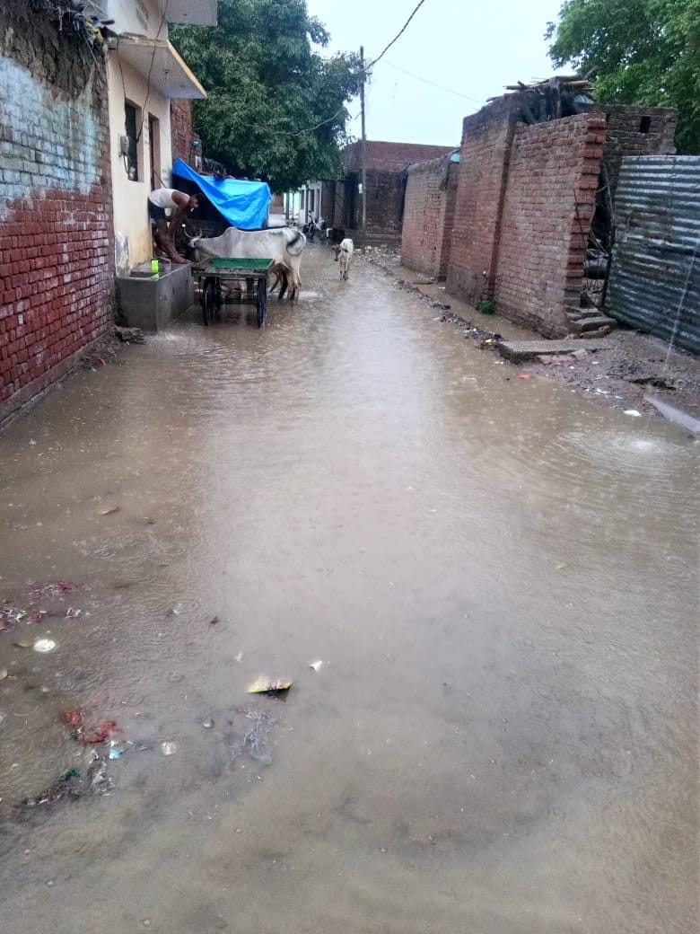 कदौरा में वार्ड नंबर एक में जलभराव कदौरा में वार्ड नंबर एक में जलभराव