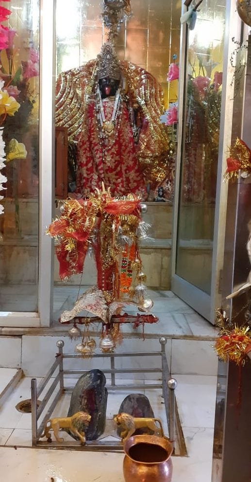 मंदिर में मां भद्रकाली की मूर्ति। मंदिर में मां भद्रकाली की मूर्ति।