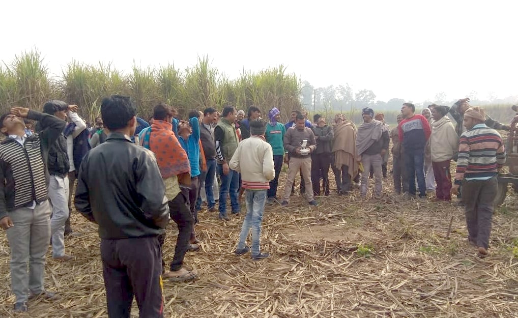 मंडावर के गांव फतहपुर सभाचंद के जंगल में गुलदार को पकड़ने के लिए जमा ग्रामीण। मंडावर के गांव फतहपुर सभाचंद के जंगल में गुलदार को पकड़ने के लिए जमा ग्रामीण।