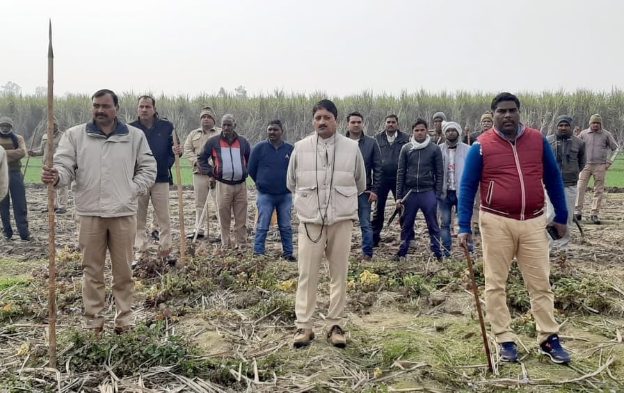 मंडावर के गांव फतहपुर सभाचंद के जंगल में गुलदार को पकड़ने के लिए हथियारों के साथ वन विभाग की टीम। मंडावर के गांव फतहपुर सभाचंद के जंगल में गुलदार को पकड़ने के लिए हथियारों के साथ वन विभाग की टीम।