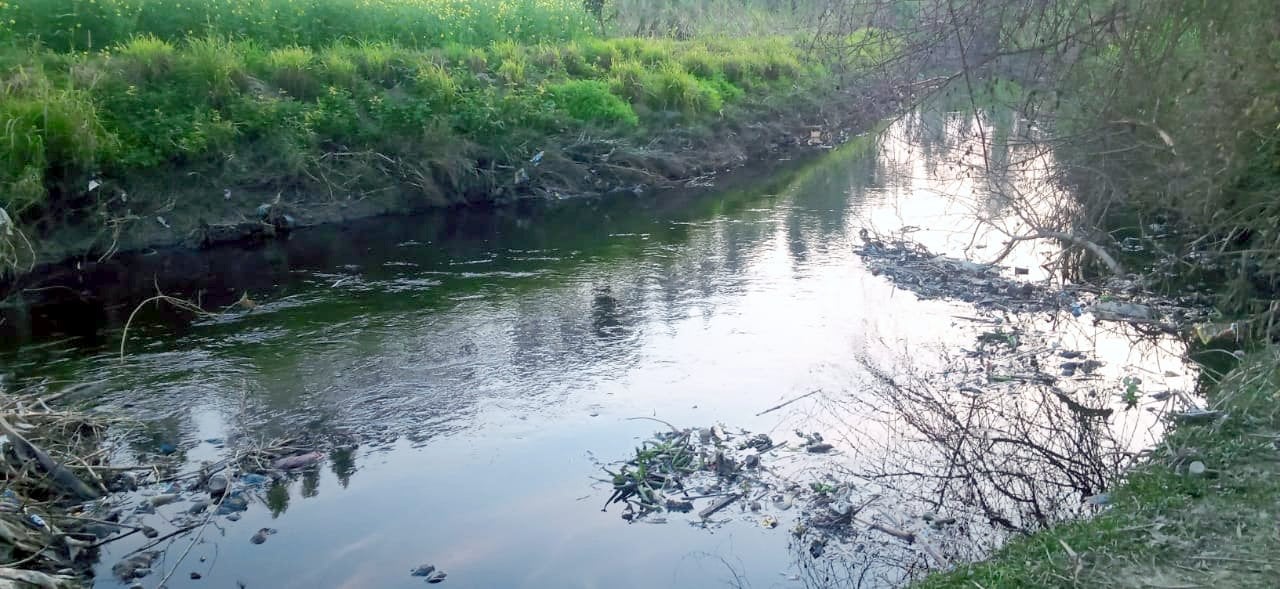 कांधला क्षेत्र के गांव डांगरौल में कृष्णा नदी का बुरा हाल