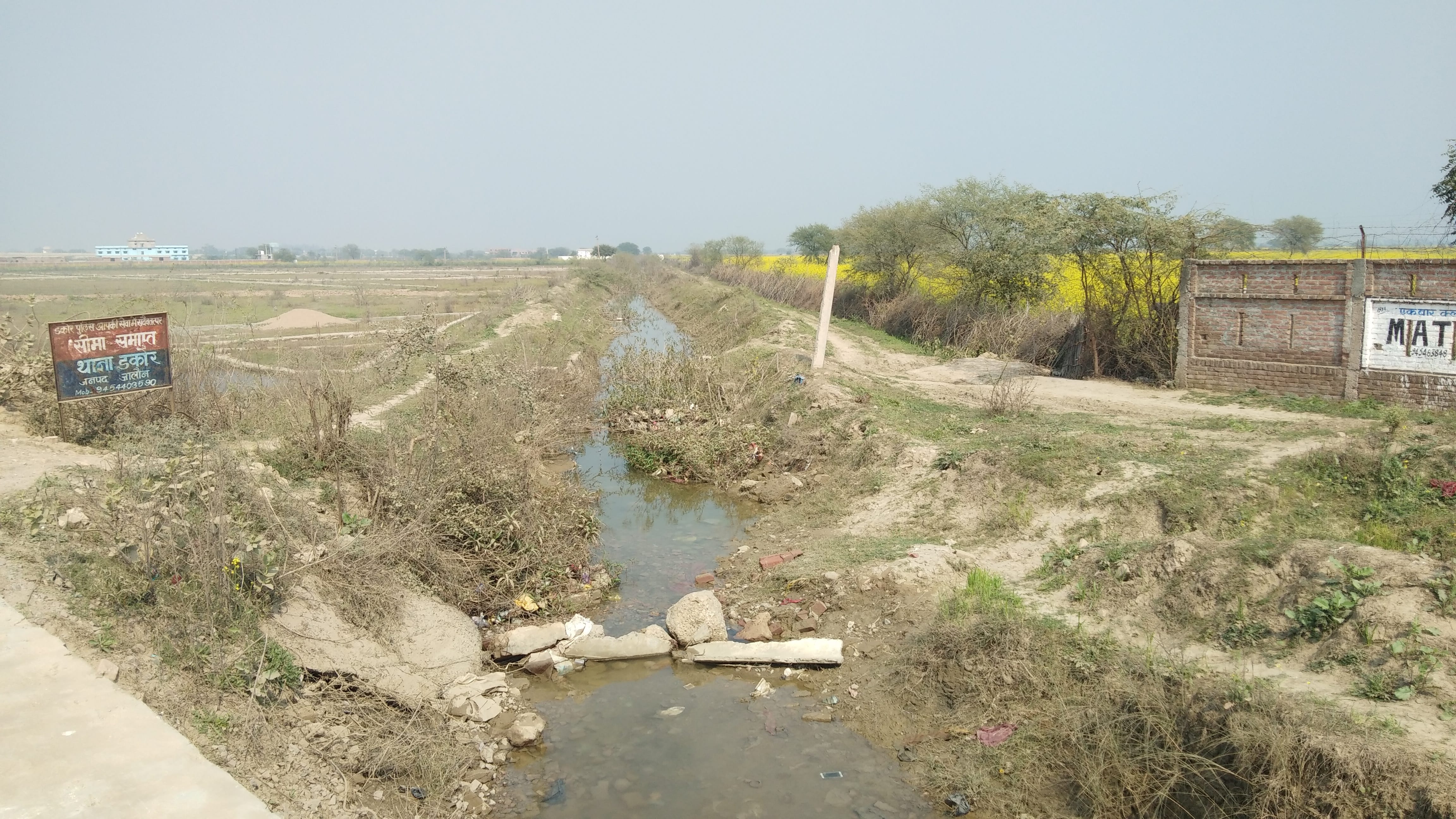 उरई टिमरो माइनर सूखा पड़ा उरई टिमरो माइनर सूखा पड़ा