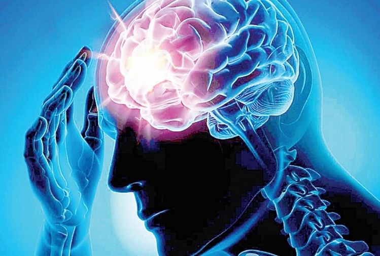 World Brain Tumor Day 2021: World Brain Tumor Day History Importance And Brain Tumor Symptoms - World Brain Tumor Day 2021: जानिए विश्व ब्रेन ट्यूमर दिवस का इतिहास, महत्व एवं अन्य उपयोगी