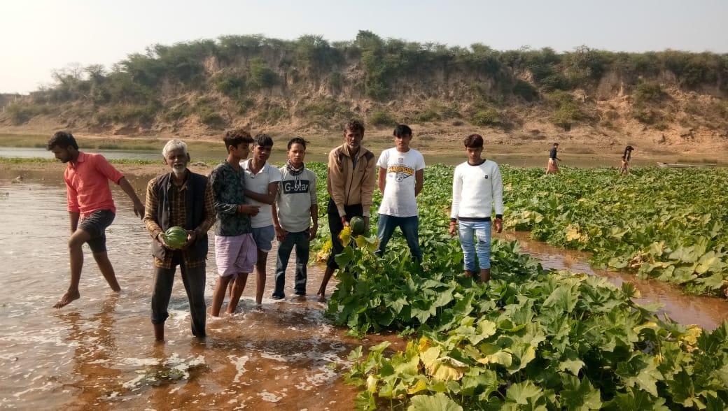 सब्जी की खराब हुई फसल को दिखाते किसान सब्जी की खराब हुई फसल को दिखाते किसान