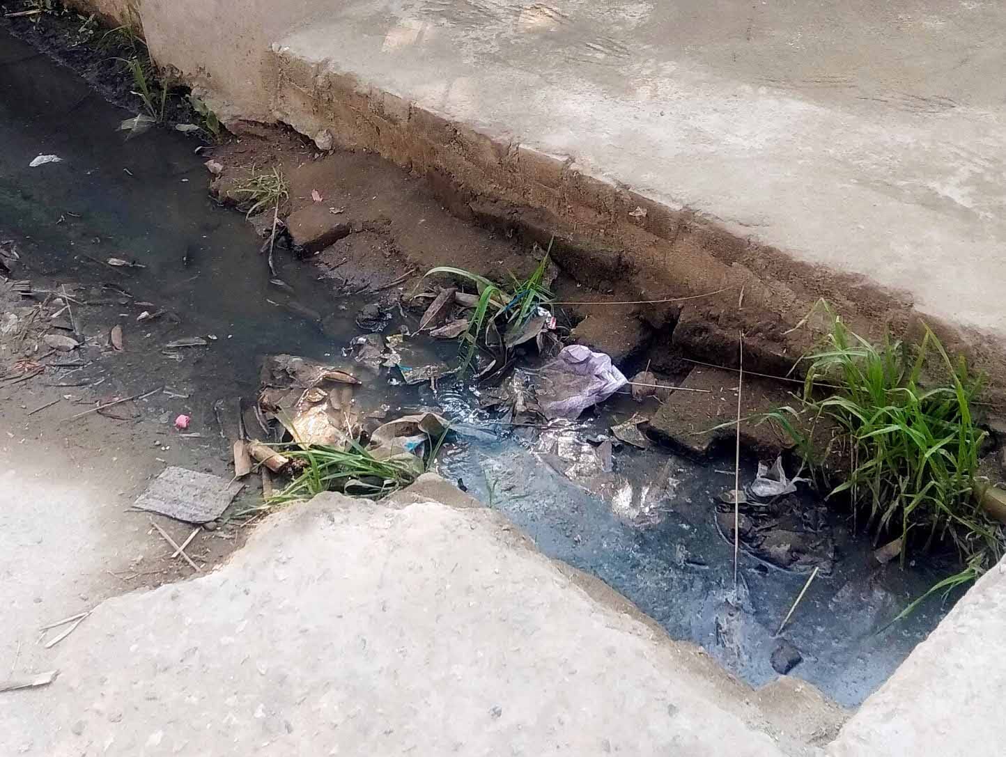 कैराना प्राथमिक विद्यालय कैराना देहात के मुख्य गेट के आगे गंदगी से भरी नाली कैराना प्राथमिक विद्यालय कैराना देहात के मुख्य गेट के आगे गंदगी से भरी नाली
