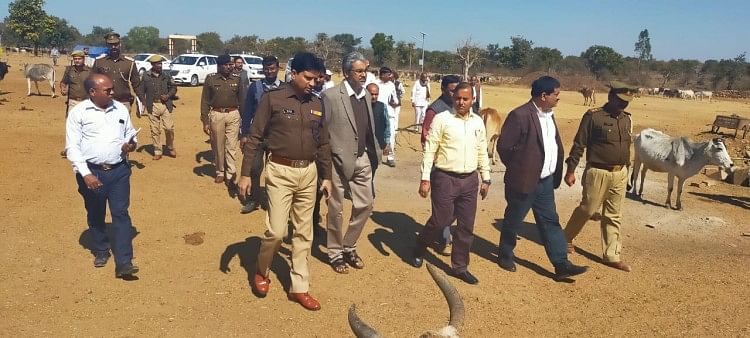 भूसे पानी की पर्याप्त व्यवस्था करने के मंडलायुक्त ने दिए निर्देश डुंगरिया में गौवंश स्थल का निरीक्षण करते कमिश्नर व डीएम एसपी व अन्य