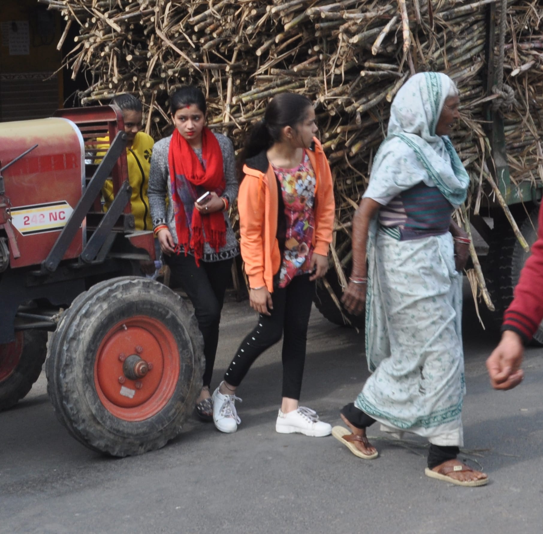 शामली  गन्ने की ट्रैक्टर ट्रॉली के बीच से गुजरती युवतियां व महिला